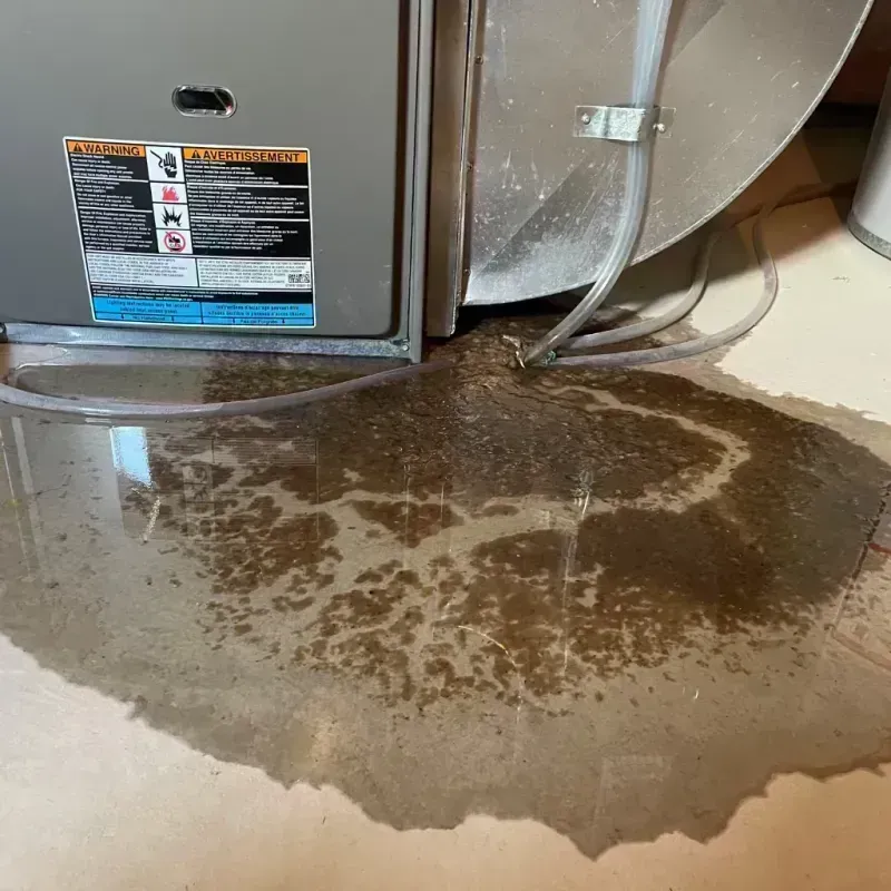 Appliance Leak Cleanup in Jo Daviess County, IL